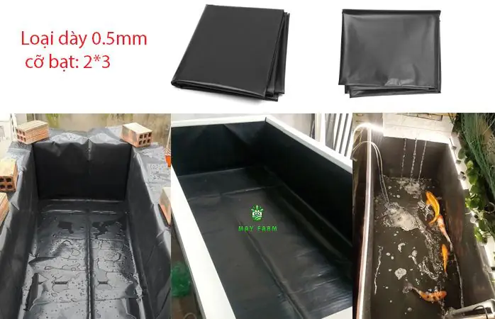 bể bạt nuôi cá