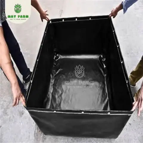 bể bạt nuôi cá