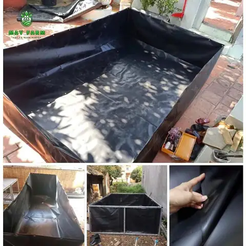 bể bạt nuôi cá