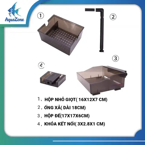 Bể Cá 2 Tầng: Hướng Dẫn Chi Tiết Từ Thiết Kế Đến Chăm Sóc