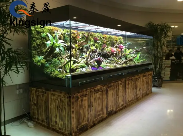 Bể Cá Acrylic Là Gì? Ưu Nhược Điểm Và Cách Lựa Chọn Phù Hợp