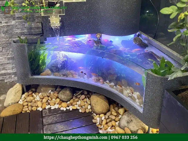 Bể cá composite kính cong