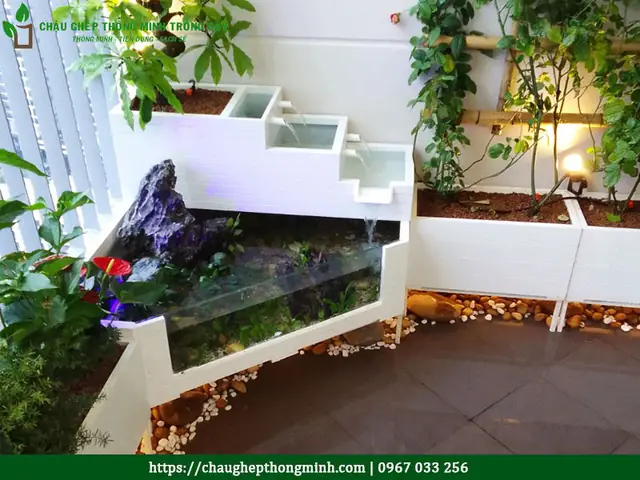 Bể cá composite kết hợp tiểu cảnh