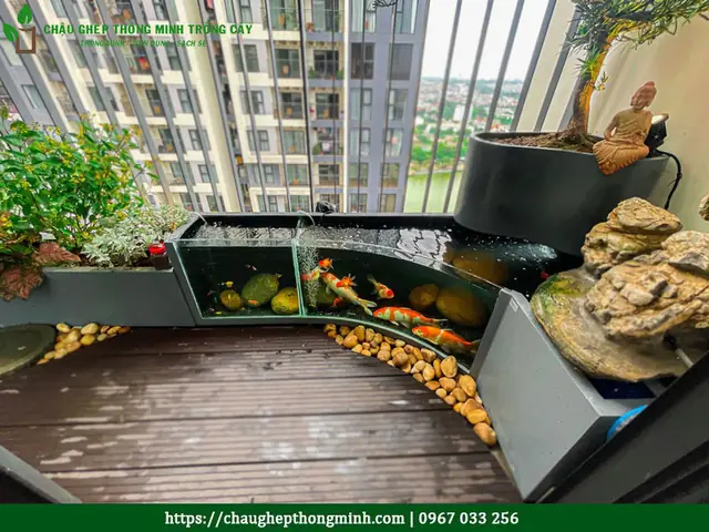 Bể cá composite kết hợp tiểu cảnh