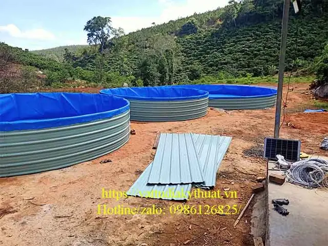 Bể Cá Bằng Bạt: Hướng Dẫn Chi Tiết Từ A Đến Z Cho Người Mới Bắt Đầu Bể Cá Bằng Bạt: Hướng Dẫn Chi Tiết Từ A Đến Z Cho Người Mới Bắt Đầu