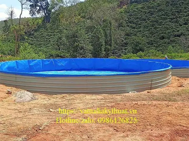 Bể Cá Bằng Bạt: Hướng Dẫn Chi Tiết Từ A Đến Z Cho Người Mới Bắt Đầu