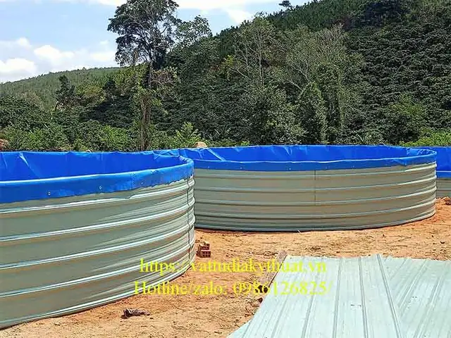 Bể Cá Bằng Bạt: Hướng Dẫn Chi Tiết Từ A Đến Z Cho Người Mới Bắt Đầu Bể Cá Bằng Bạt: Hướng Dẫn Chi Tiết Từ A Đến Z Cho Người Mới Bắt Đầu
