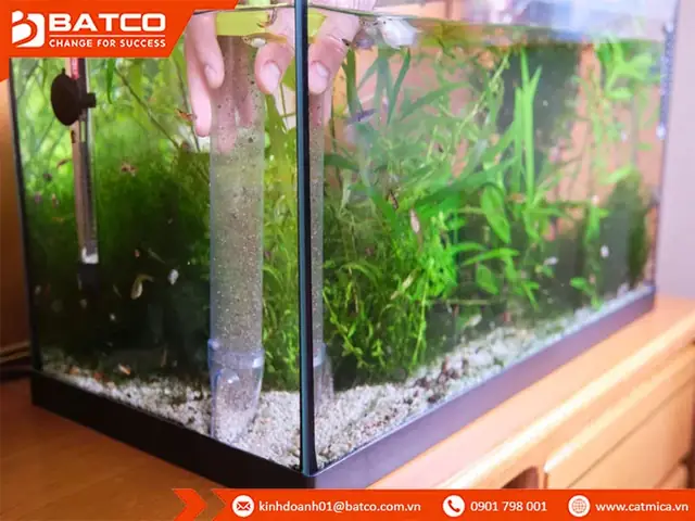 Bể Cá Mica Là Gì? Hướng Dẫn Toàn Diện Từ Chọn Đến Chăm Sóc Bể Cá Mica Là Gì? Hướng Dẫn Toàn Diện Từ Chọn Đến Chăm Sóc