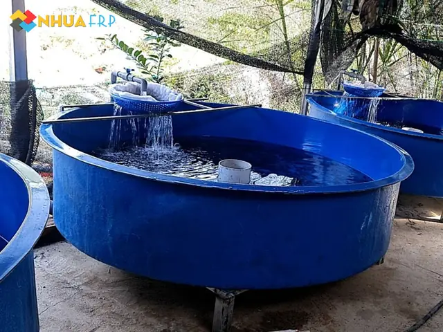Cách chọn và sử dụng bể cá bằng nhựa hiệu quả cho cá cảnh