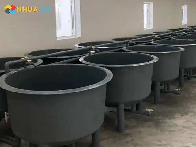 Cách chọn và sử dụng bể cá bằng nhựa hiệu quả cho cá cảnh