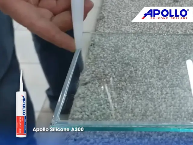 Bể Cá Betta 3 Ngăn: Hướng Dẫn Setup Và Chăm Sóc Hiệu Quả