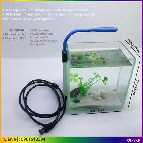 Bể Cá Betta Để Bàn: Hướng Dẫn Chọn & Chăm Sóc Toàn Diện