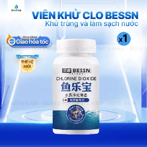 Cách Tạo Bể Cá Betta Đẹp Hút Hồn: Hướng Dẫn Toàn Diện Từ A-Z