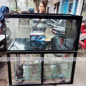 Bể cá cảnh 1m2 hệ thống lọc tràn dưới, thiết kế tối giản, hiệu quả