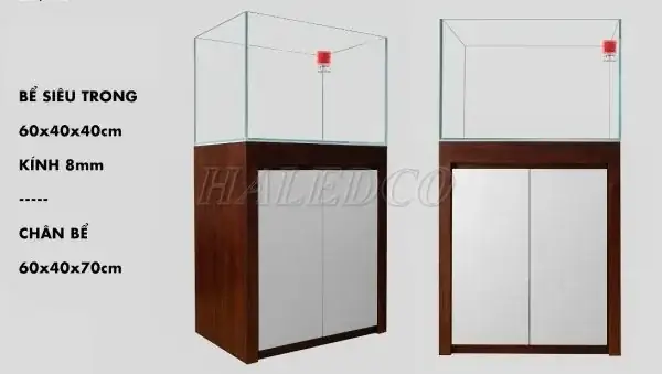 Bể Cá Cảnh 60x40x40: Hướng Dẫn Lựa Chọn & Thiết Lập Hoàn Hảo