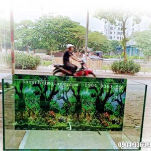 bể cá cảnh 80x40x40cm sử dụng kính Việt Nhật chất lượng cao
