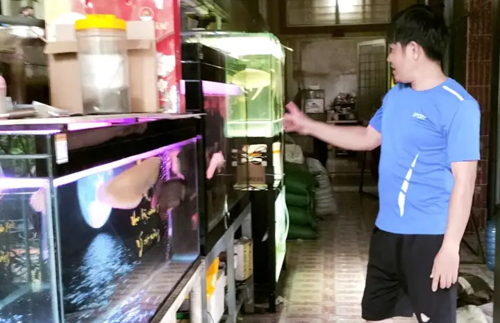 Bể Cá Cảnh Bảo Long: Cẩm Nang Chi Tiết Từ A Đến Z