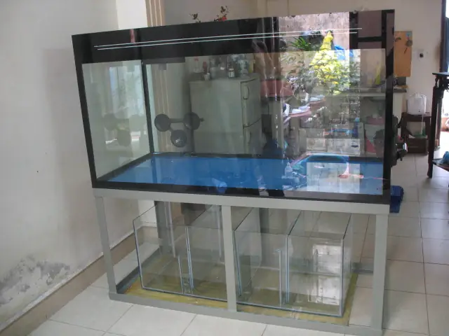 Bể Cá Cảnh Cỡ Lớn: Hướng Dẫn Toàn Diện Từ A Đến Z