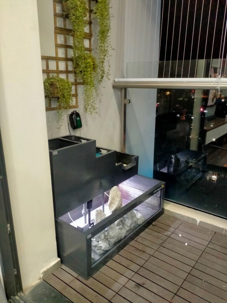 Bể cá cảnh composite đẹp mắt