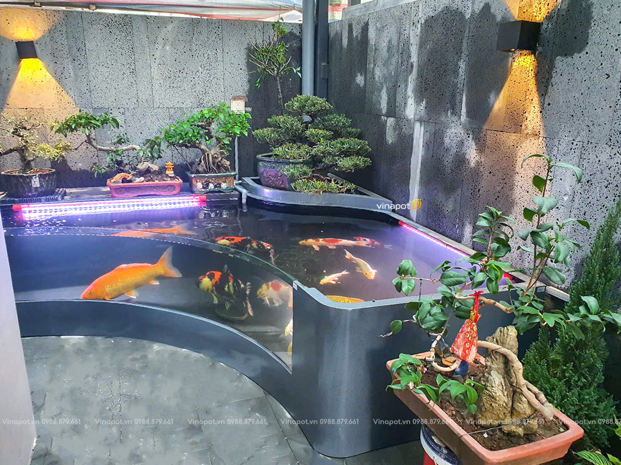 Bể cá cảnh composite tại Ocean Park