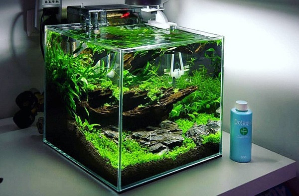 Bể cá cảnh đúc 1m2 acrylic trong suốt