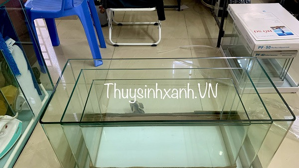 Bể cá cảnh đúc 80cm với thiết kế kính cong tinh tế