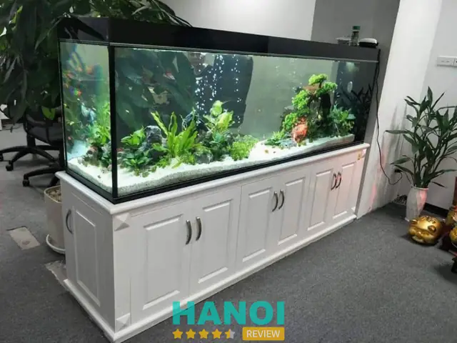 bể cá cảnh hà nội