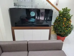 Những Điều Cần Biết Khi Chọn Và Chăm Sóc Bể Cá Cảnh Lớn