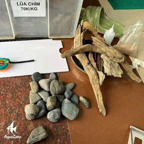 bể cá cảnh mini