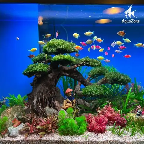 bể cá cảnh mini