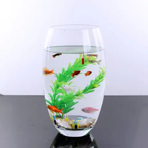 Hướng Dẫn Chọn Mua Bể Cá Cảnh Mini Giá Rẻ Chất Lượng Cao