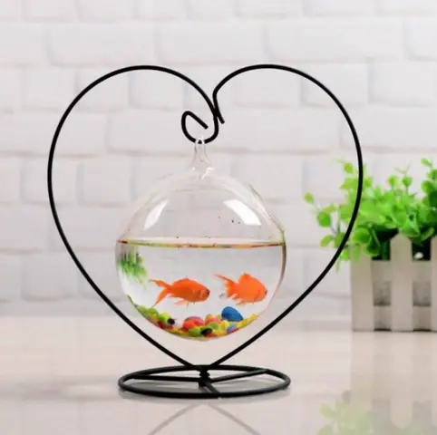Hướng Dẫn Chọn Mua Bể Cá Cảnh Mini Giá Rẻ Chất Lượng Cao