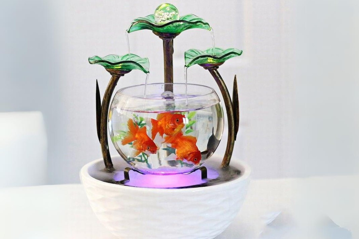 Bể cá cảnh mini thác nước