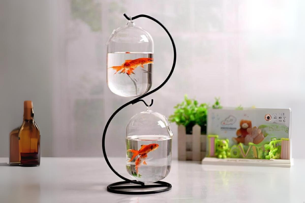 Bể cá cảnh mini treo với chân đế vững chắc và cây thủy sinh