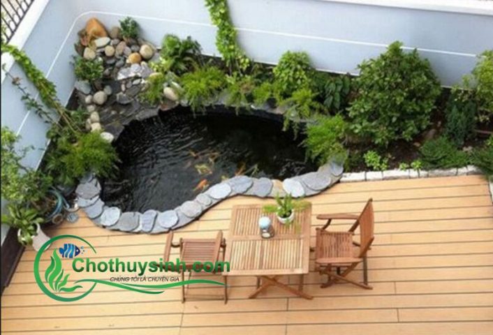 Bể cá cảnh ngoài trời thiết kế không gian thư giãn