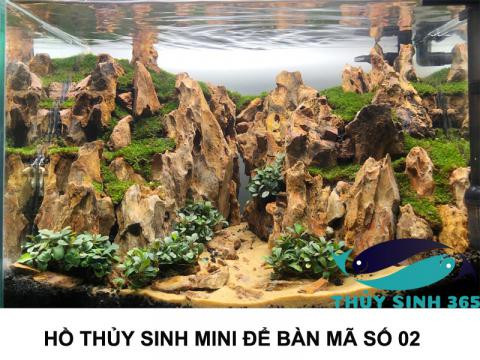 Bể cá cảnh nhỏ để bàn làm việc mã số 02, mang lại không gian xanh mát và thư giãn.