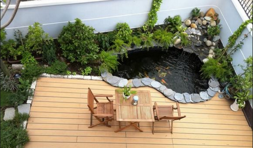 Bể cá cảnh sân vườn hình trái tim độc đáo và thời thượng