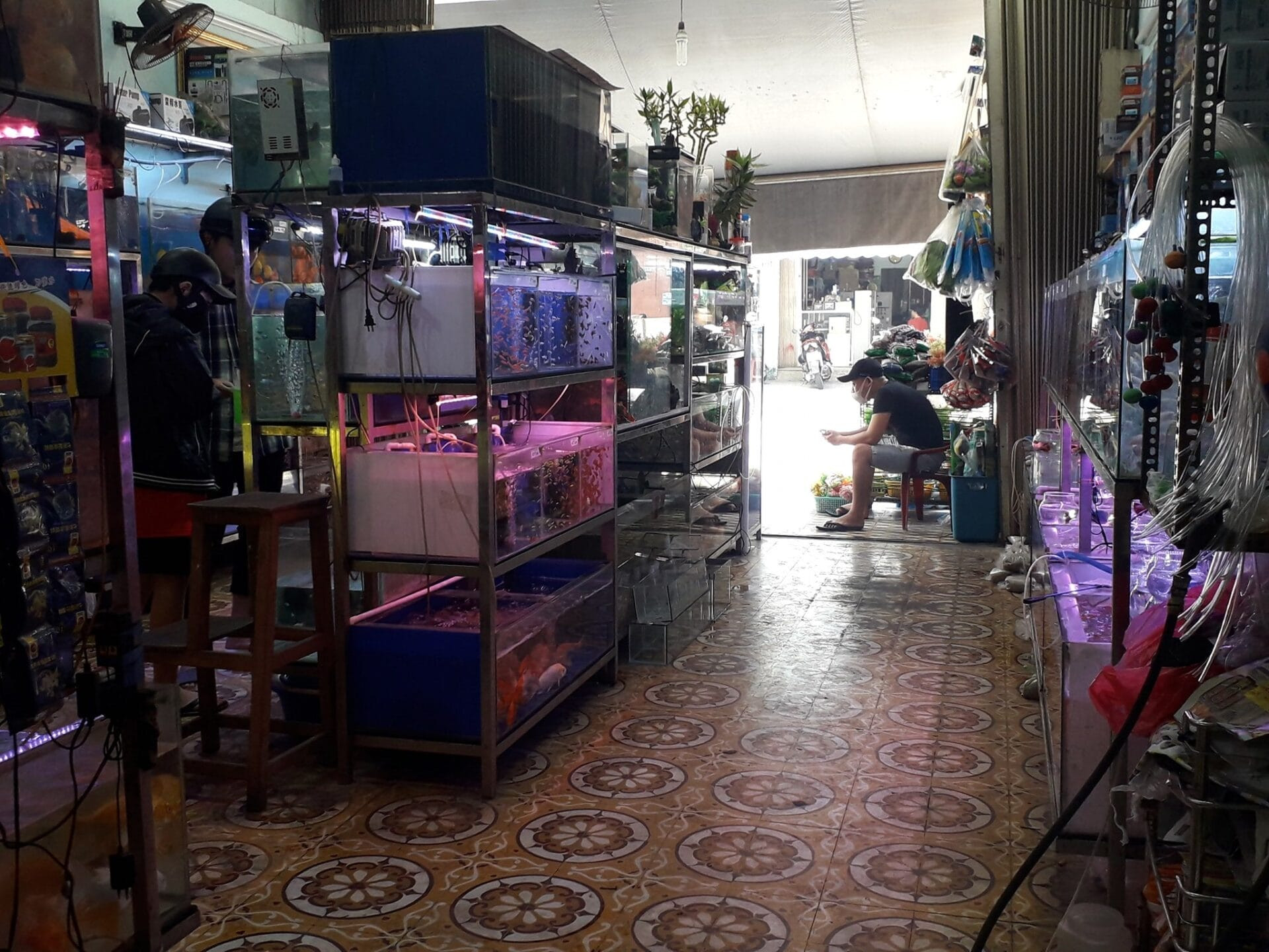 Bể cá cảnh tại Cá Cảnh Dũng, Đà Nẵng