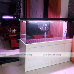 Bể cá cảnh thủy sinh đẹp công nghệ mới với kính siêu trong, kích thước lớn