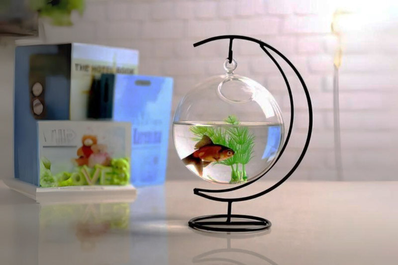 Bể cá cảnh treo tường tiết kiệm diện tích cho bàn làm việc