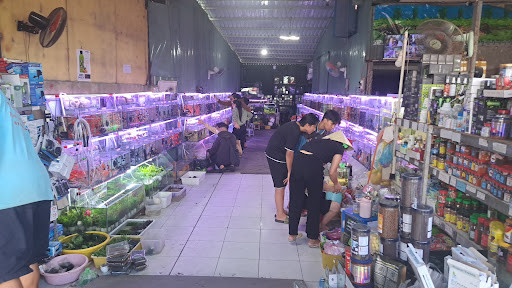Bể cá cảnh và phụ kiện thủy sinh đa dạng tại Thanh Hải Quận 7