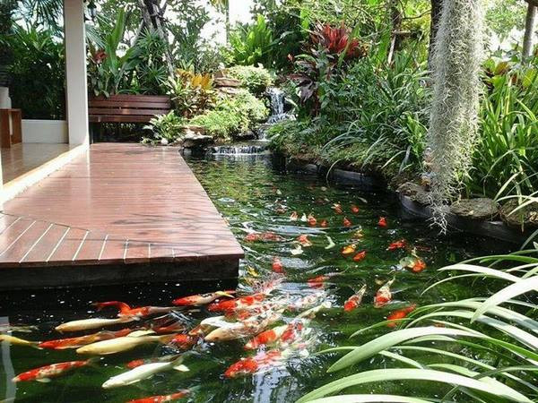 Bể cá cảnh xi măng ngoài trời đã hoàn thiện, trang trí tiểu cảnh và cây xanh xung quanh
