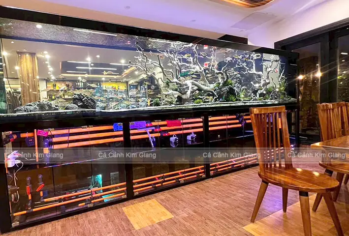 bể cá công nghệ mới
