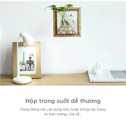 Bể cá dán tường: Giải pháp trang trí và những điều cần biết