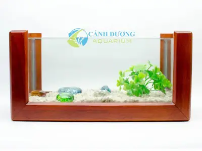 bể cá đẹp trong nhà bể cá đẹp trong nhà