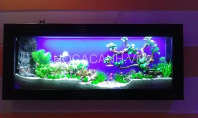 bể cá đẹp trong nhà bể cá đẹp trong nhà