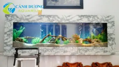 bể cá đẹp trong nhà bể cá đẹp trong nhà