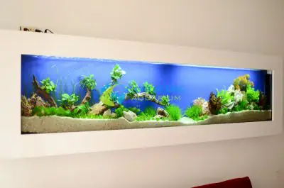 bể cá đẹp trong nhà bể cá đẹp trong nhà