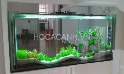 bể cá đẹp trong nhà bể cá đẹp trong nhà