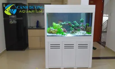 bể cá đẹp trong nhà bể cá đẹp trong nhà